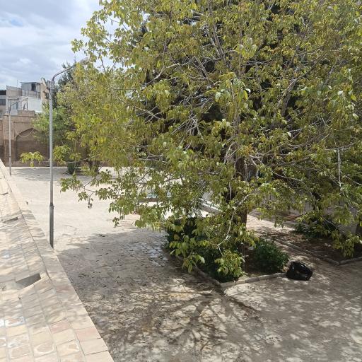 عکس مسجد جامع بروجرد | مسجد جمعه